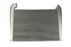 Интеркулер THERMOTEC DASC005TT (фото 1)