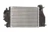 Интеркулер THERMOTEC DA1005TT (фото 2)