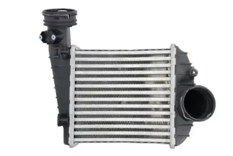 Интеркулер THERMOTEC DAW013TT