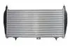 Інтеркулер THERMOTEC DAC010TT (фото 1)
