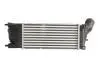 Интеркулер THERMOTEC DAC009TT (фото 2)