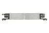 Интеркулер THERMOTEC DAX010TT (фото 1)