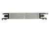 Интеркулер THERMOTEC DAX010TT (фото 2)