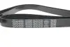 Комплект ременя генератора Citroen Jumpy/Fiat Ducato/Peugeot Boxer 2.2HDi 06- (6PK1670) DAYCO KPV338 (фото 4)