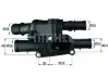 Фото 1 - термостат BEHR TM2105 Термостат BEHR TM2105 (фото 1)