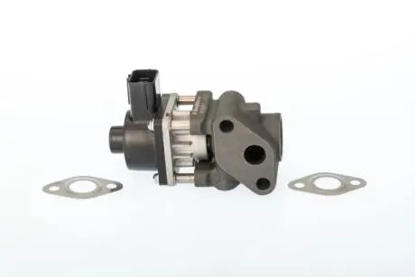 ZAWOR EGR WAHLER 711024D1