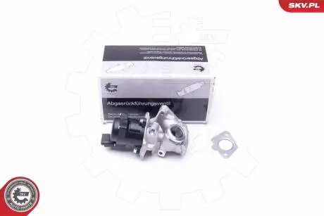 ZAWOR EGR SKV GERMANY 14SKV202