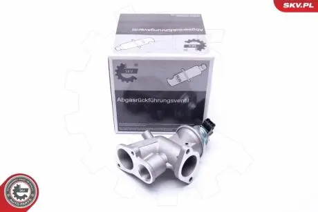 ZAWOR EGR SKV GERMANY 14SKV181