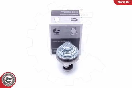 ZAWOR EGR SKV GERMANY 14SKV182