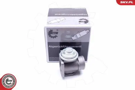 ZAWOR EGR SKV GERMANY 14SKV174