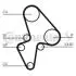 Belt Kit Contitech CT906K1 (фото 2)