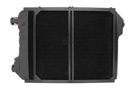 Радіатор THERMOTEC D7AG134TT (фото 1)