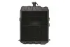 Радиатор THERMOTEC D7AG037TT (фото 2)