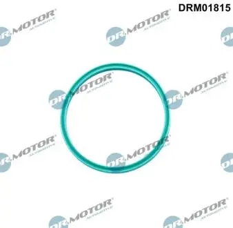 Ущiльнююче кiльце DR MOTOR DRM01815