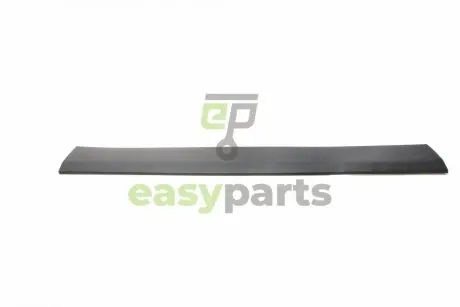 Молдинг двері (бокової/L) VW Crafter 2.0/2.5 TDI 06-16 DPA 88531532302