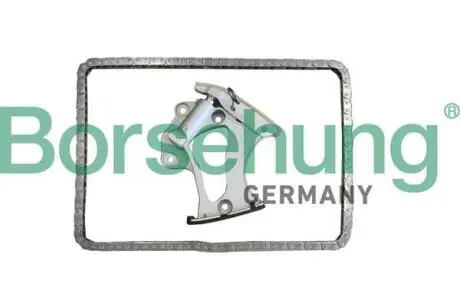 Комплект ланцюга ГРМ BORSEHUNG B10249