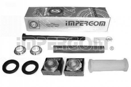 Ремкомплект важеля (заднього/поперечного) Fiat Punto/Citroen C5 93- IMPERGOM 40020 (фото 1)