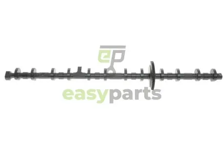 Вал ексцентриковий BMW X5 (E70) 3.0 N55/S55 07-13 KOLBENSCHMIDT 50007851