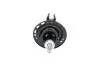 Амортизатор (передній) Lexus RX 08-15 (L) KAVO PARTS SSA10648 (фото 3)