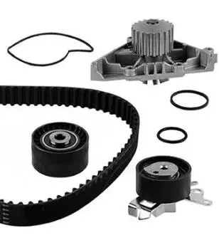 ROZRZAD KPL.Z POMPA CITROEN 2.0 04- Metelli 3008621