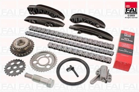 Timing Chain Kit FAI TCK349