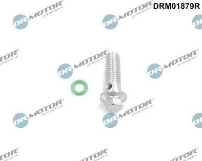 Ремкомплект масляної помпи 2 елементи DR MOTOR DRM01879R