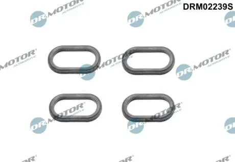 Ущiльнююче кiльце,4 шт DR MOTOR DRM02239S