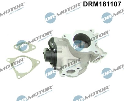 ZAWÓR EGR Z USZCZELKĄ RENAULT, NISSAN, OPEP DR MOTOR DRM181107