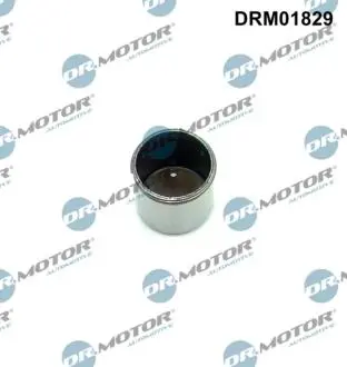 POPYCHACZ POMPY WYSOKIEGO CISNIENIA VAG DR MOTOR DRM01829