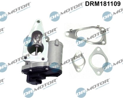 ZAWÓR EGR Z USZCZELKĄ RENAULT DR MOTOR DRM181109