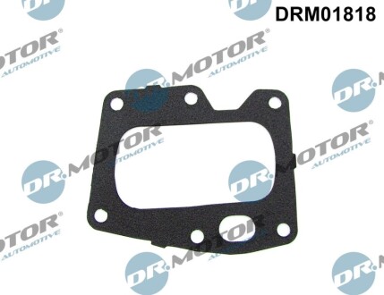 USZCZELKA ZAWORU EGR PSA DR MOTOR DRM01818