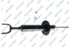 Shock absorber GSP 32117880 (фото 1)