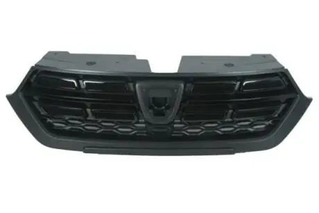Radiator Grille BLIC 6502071311991P