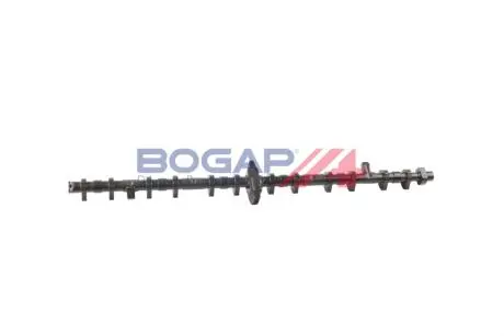 Ексцентриковий вал BOGAP B1924100