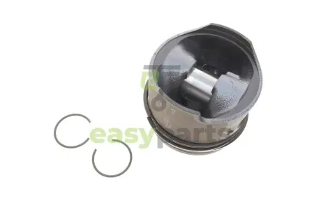 Поршень MB Sprinter 906/Vito (W639) 03- (88.00mm/+0.5) ROTWEISS 87725320501
