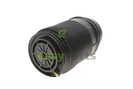 Подушка пневмопідвіски (ззаду) MB E-class (W212) 10-15 (R) KAVO PARTS SAS10019