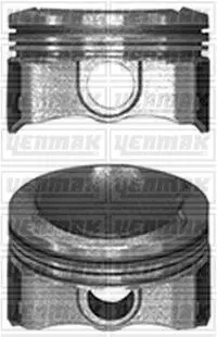 Поршень з кільцями і пальцем (розмір отв. 75,50/+0,50) CITROEN C-Elysee 1,2VTi Yenmak 31-04105-050 (фото 1)