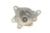 Фото 5 - помпа води Renault Trafic/Scenic/Megane/Opel Vivaro/Nissan Qashqai/X-Trail/MB Vito (W447) 1.6D 11- Contitech WPS3154 Помпа води Renault Trafic/Scenic/Megane/Opel Vivaro/Nissan Qashqai/X-Trail/MB Vito (W447) 1.6D 11- Contitech WPS3154 (фото 5)