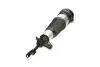 AMORTYZATOR PNEUMATYCZNY KAVO PARTS SAS10015 (фото 1)