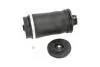 Подушка пневмопідвіски (ззаду) MB ML-class (W164/W166)/GL-class (X164/X166) 06-15 KAVO PARTS SAS10006 (фото 1)
