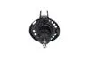 AMORTYZATOR KAVO PARTS SSA10868 (фото 3)