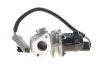 ZAWOR EGR WAHLER 710936D (фото 6)