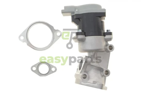 ZAWOR EGR WAHLER 710976D