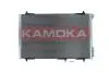 SKRAPLACZ KLIMATYZACJI PEUGEOT 206 98-13 KAMOKA 7800339 (фото 1)