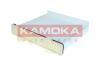 FILTR KABINOWY KAMOKA F429201 (фото 4)
