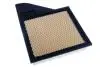 Фiльтр повiтряний Ford Mustang 3.7/4.6/5.0 10-14  (не для 5.8L) (з метал. сіткою) (USA) Denckermann A142221 (фото 1)