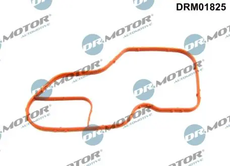 USZCZELKA TERMOSTATU DR MOTOR DRM01825