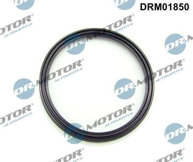 USZCZELNIACZ DR MOTOR DRM01850