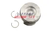 ПОРШЕНЬ FORD TRANSIT 13&gt; /15&gt; 2.0 ECOBLUE 84.51MM FAST FT4713650 (фото 1)