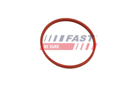 Сальник вала КПП (24,5 x42 x6) Nissan Interstar, Juke, Note, Primastar, Qashqai, X-Trail /Renault Clio, Espace, Kangoo, Laguna FAST FT49861